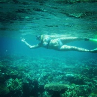 Snorkeling in Great Barrier Reef